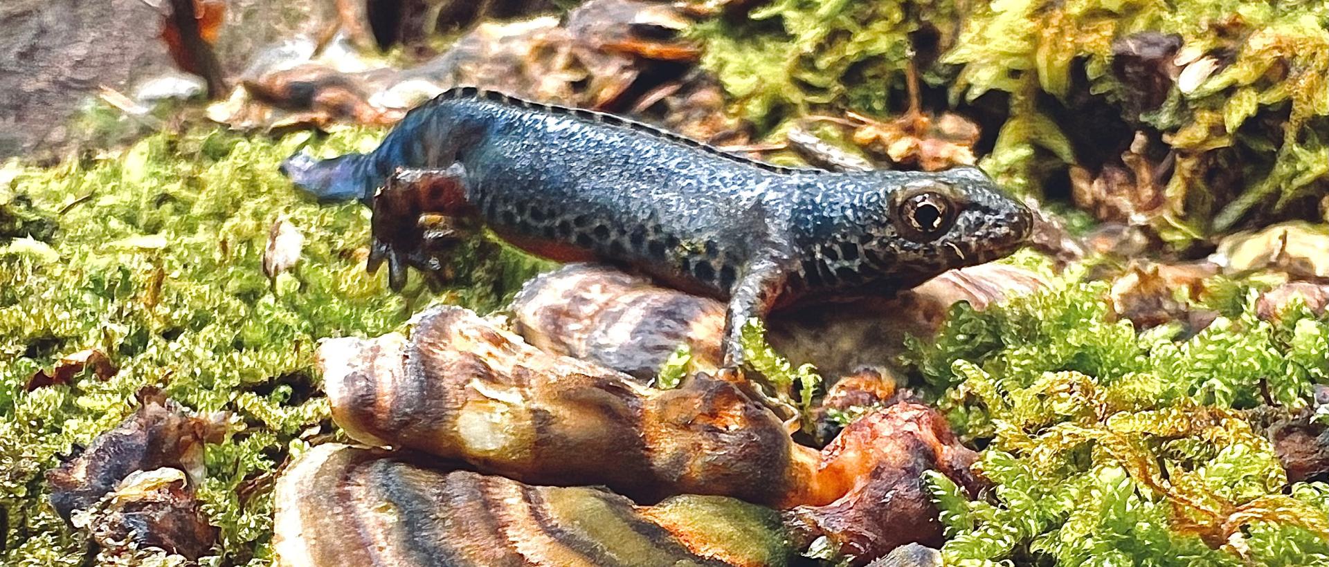 Découvre une nature intacte