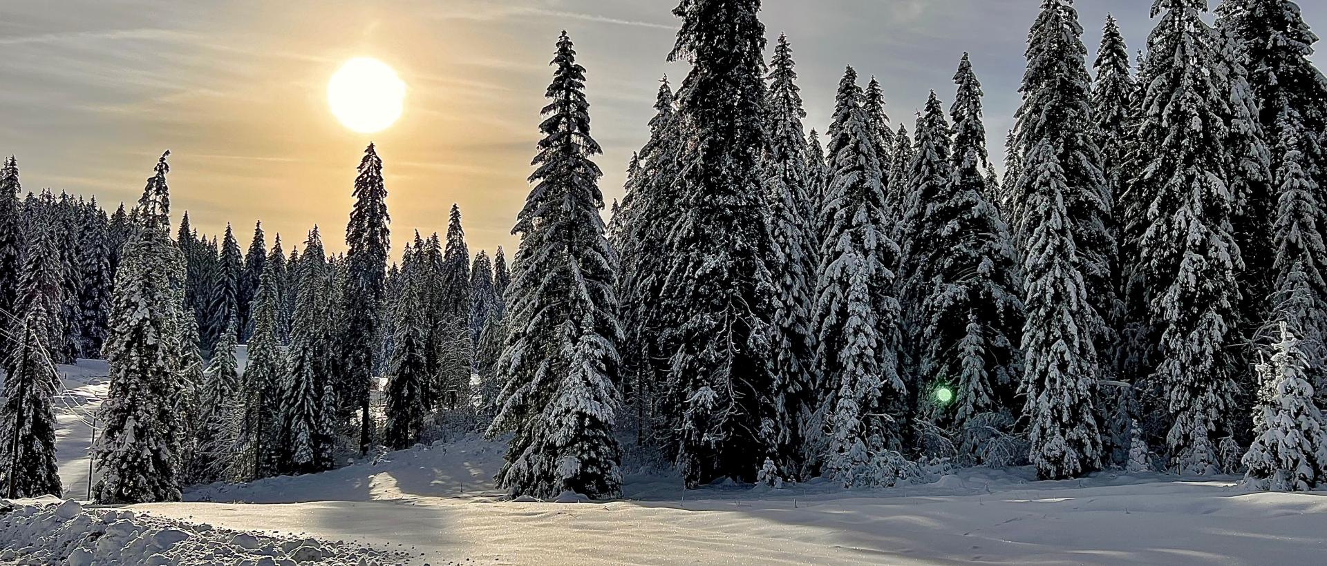 L'hivers aux Cernets