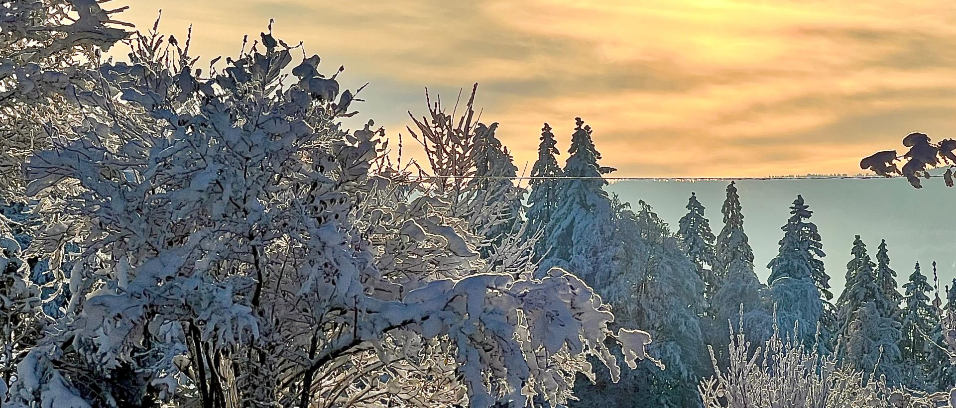 Belle vue depuis notre jardin 