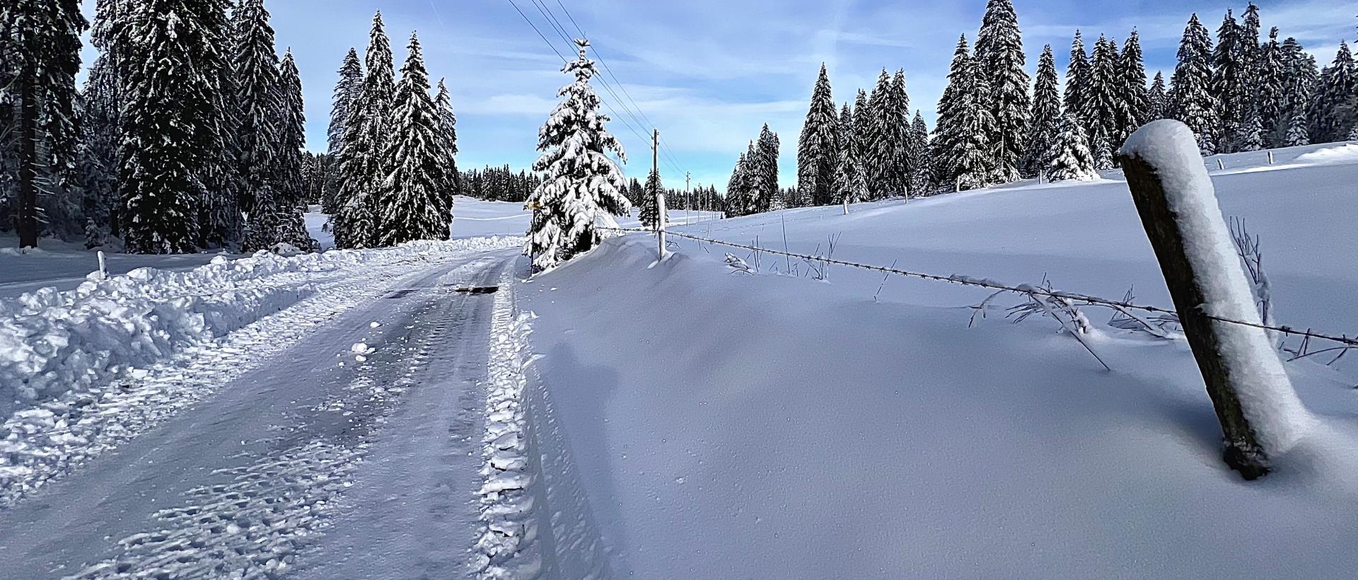 L'hivers et ces pistes de skis nordiques