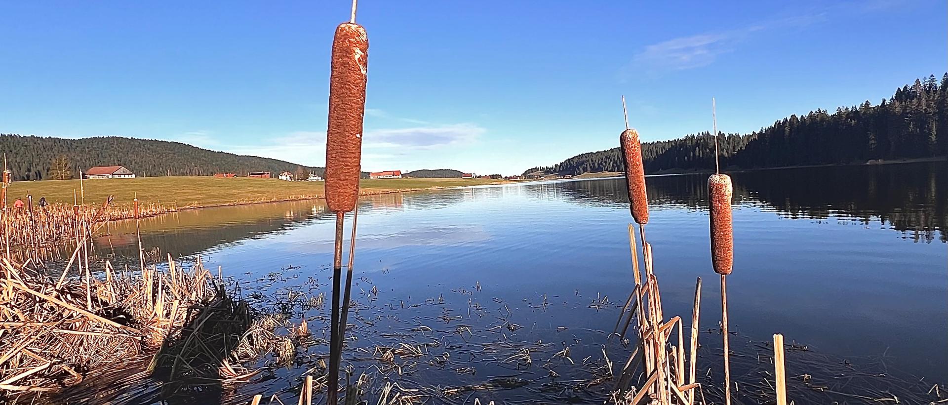 Lac des Taillères étape incontournable de ta balade