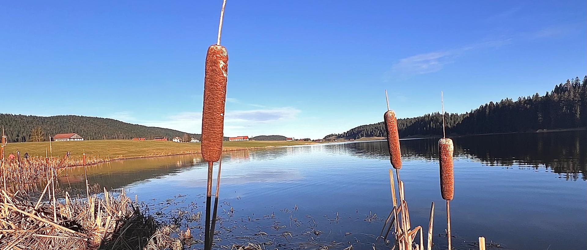 Lac des Taillères étape incontournable de ta balade