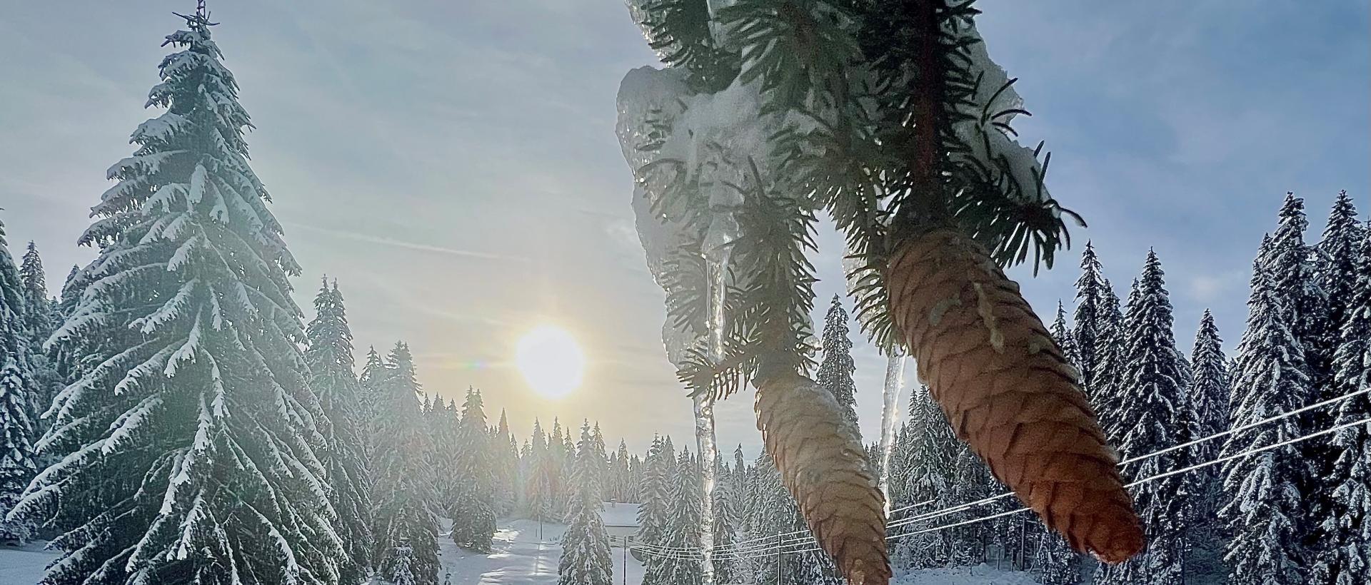 Hivers 2024 photos neige