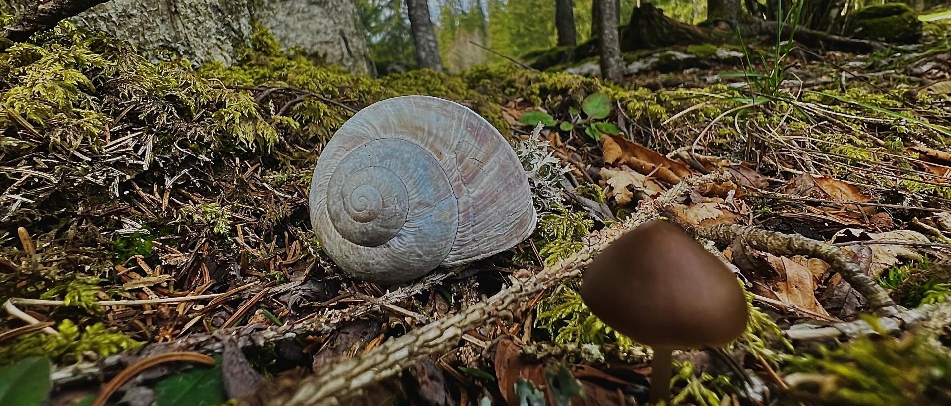 La beauté de la nature montagnes neuchâteloises