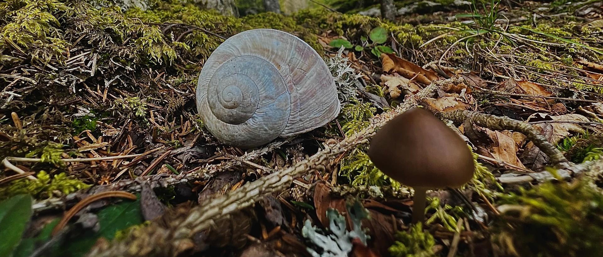La beauté de la nature montagnes neuchâteloises