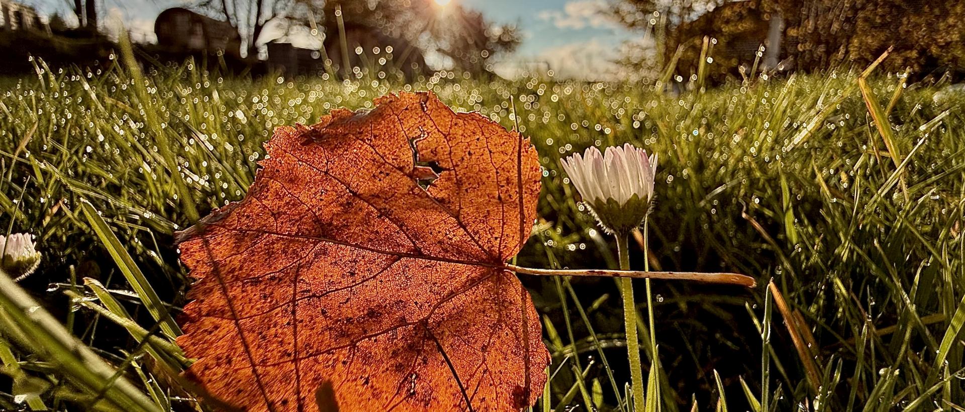 Automne 2024 les Cernets Val de Travers