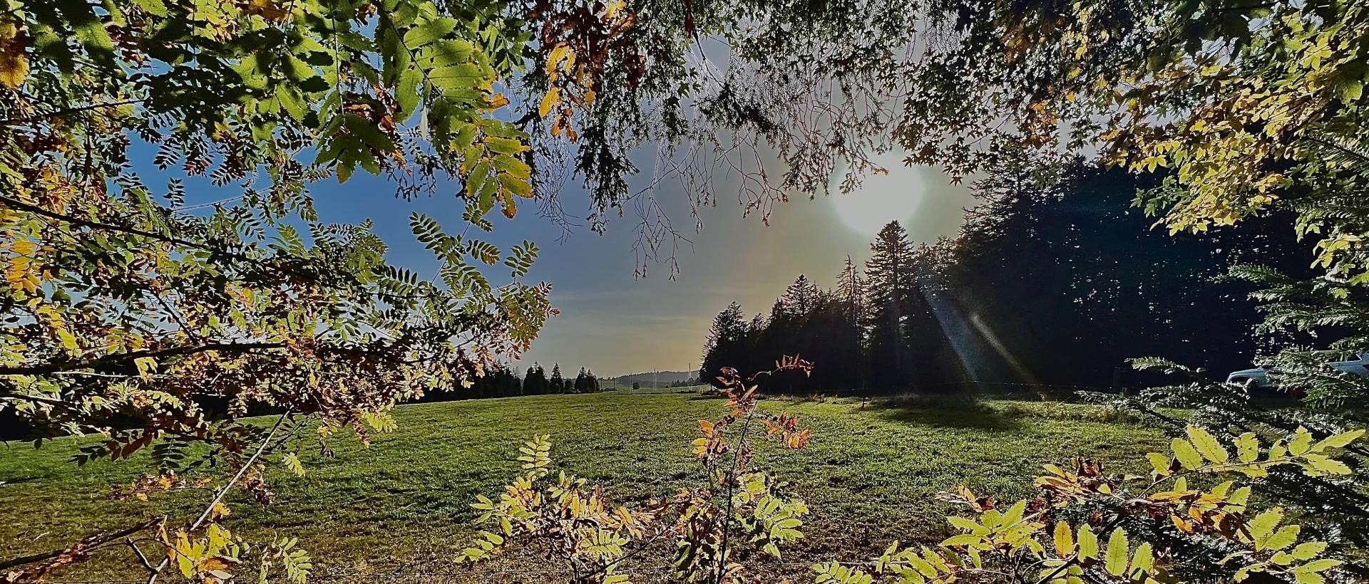 Vue sur nature 