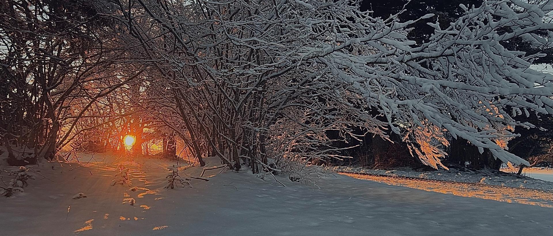 Couché de Soleil et neige 