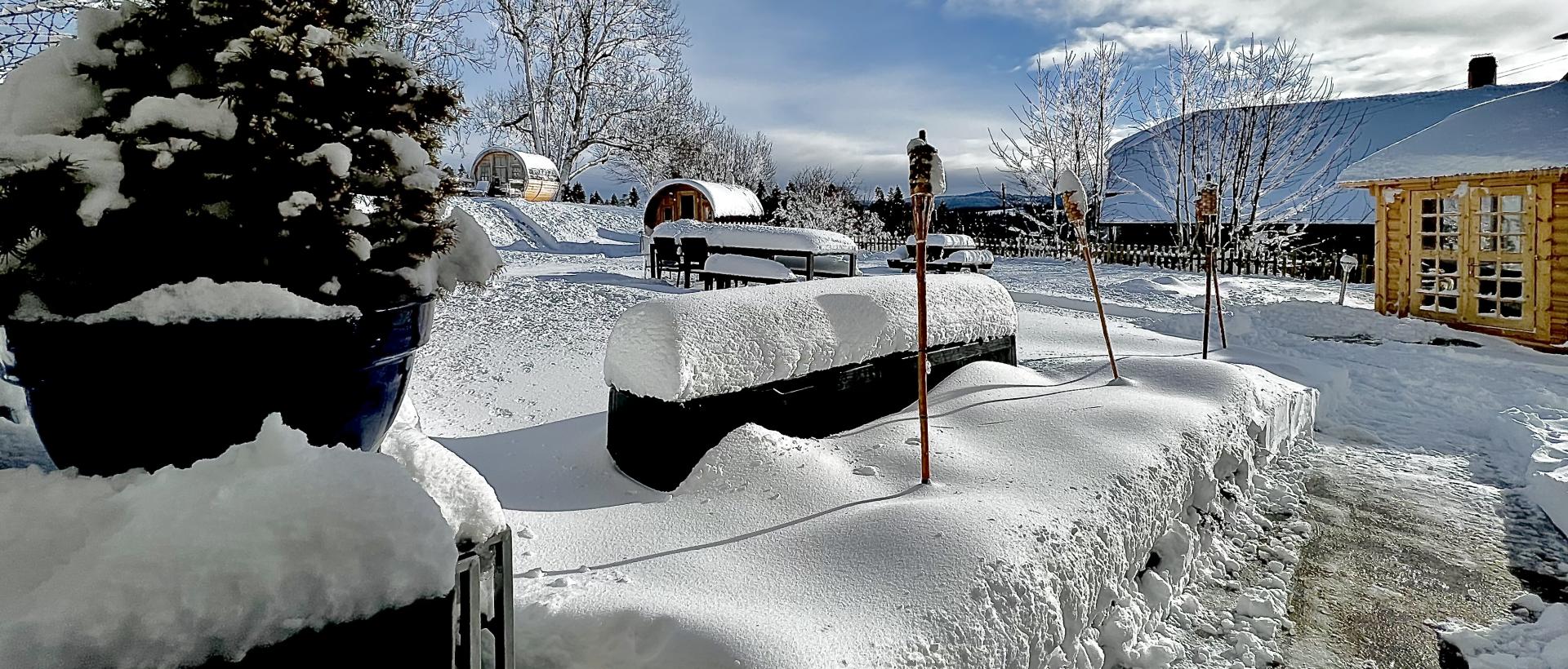 Neige aux Cernets 