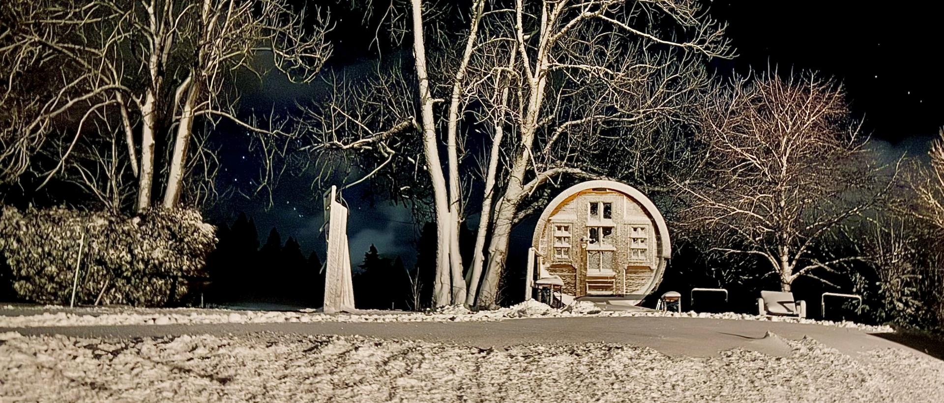 Tiny House hivers neige, étoiles