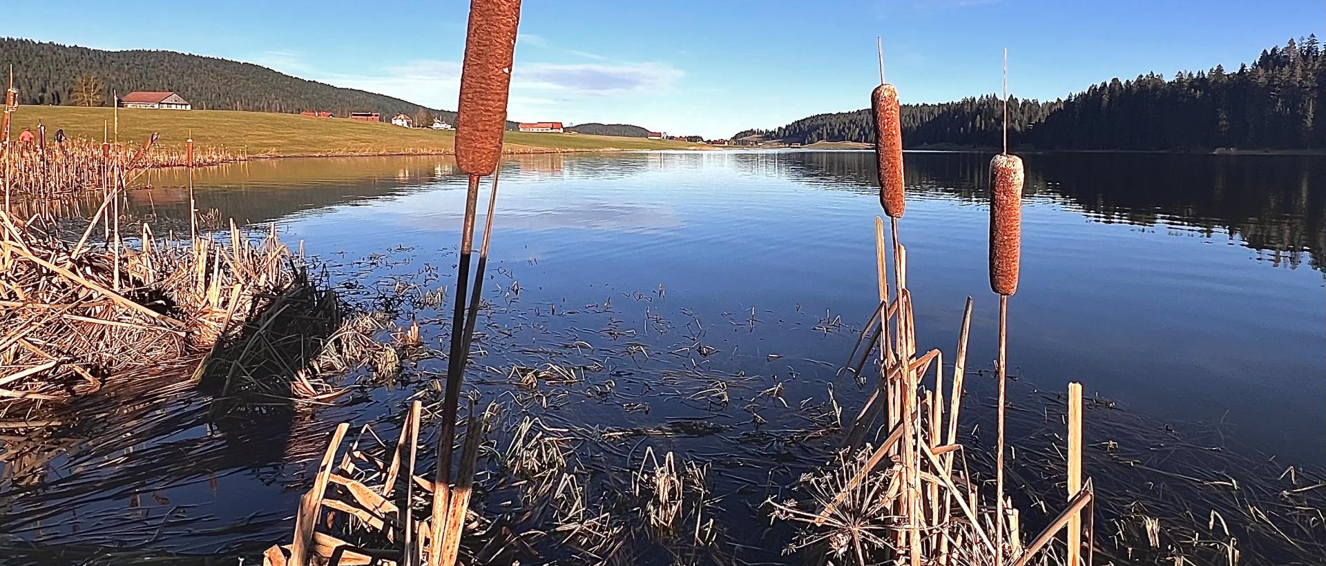 Lac des Taillères 
