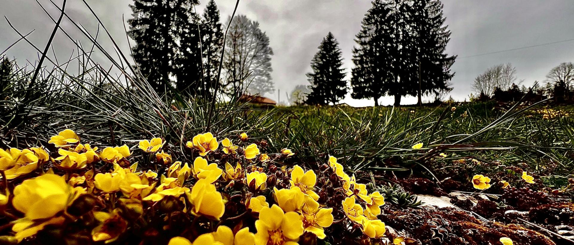 Nature Val de Travers