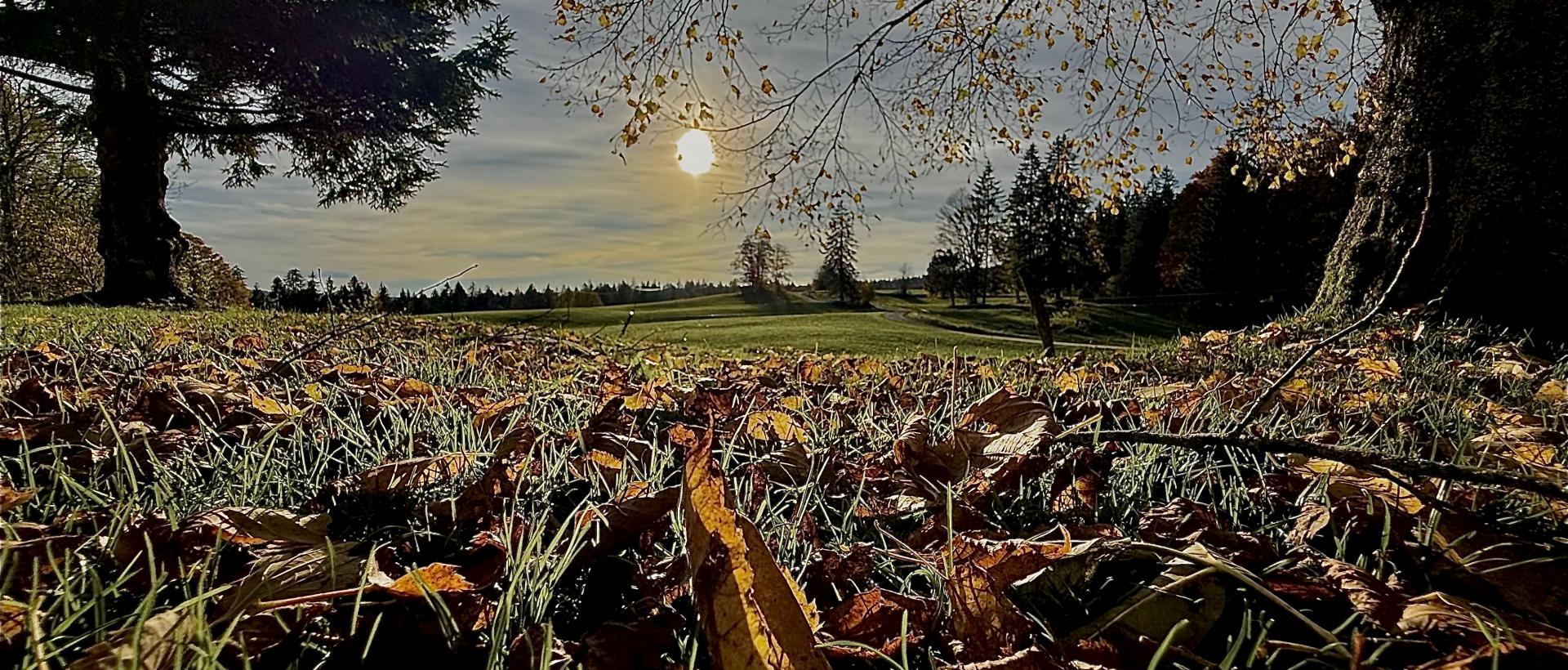 automne nature coucher de soleil les cernets