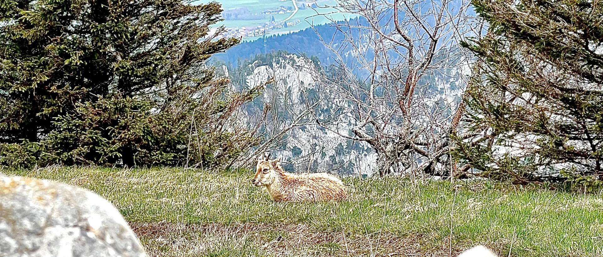 Creux du Van Hôtel les Cernets