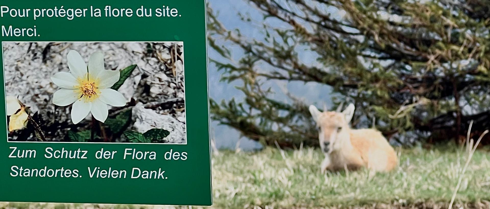 Creux du Van Nature Hôtel les Cernets
