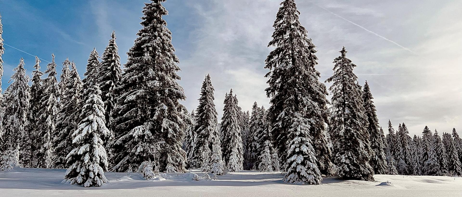 paysages jura suisse étape gtj