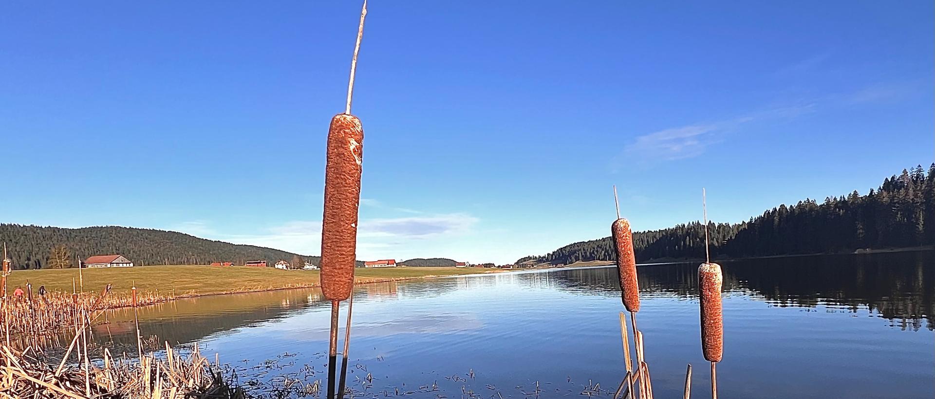 Lac des Taillères Automne Hôtel les Cernets