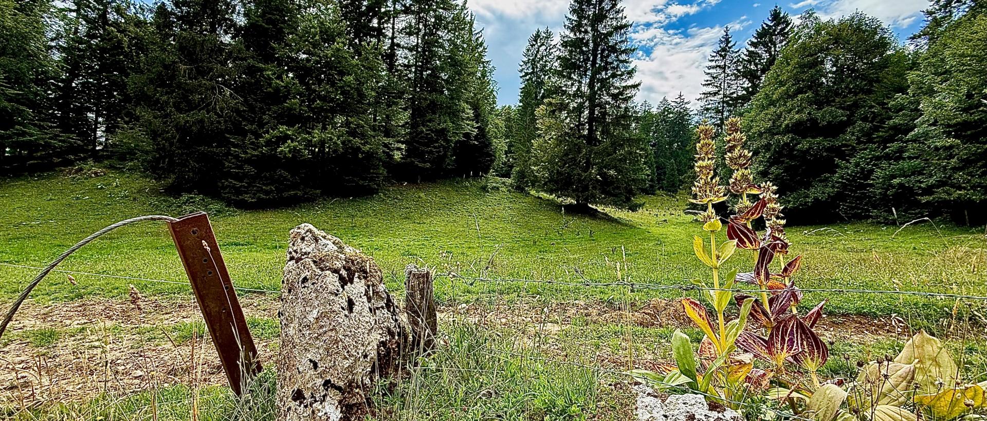 environnement étape gtj