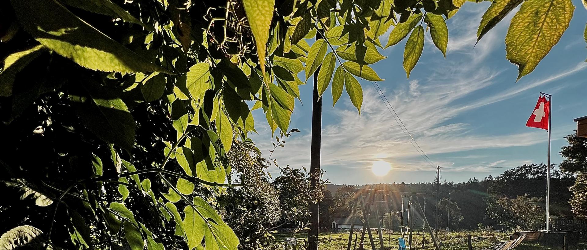 Vue jardin Hôtel les Cernets