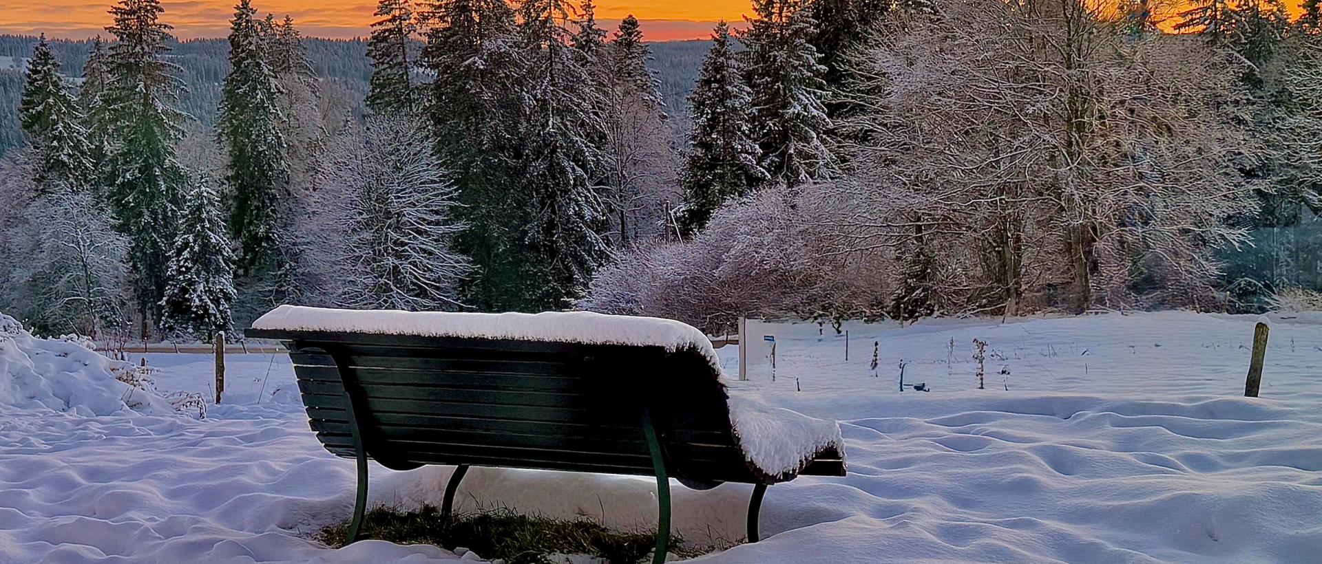 Hivers détente proche de la nature Hôtel les Cernets
