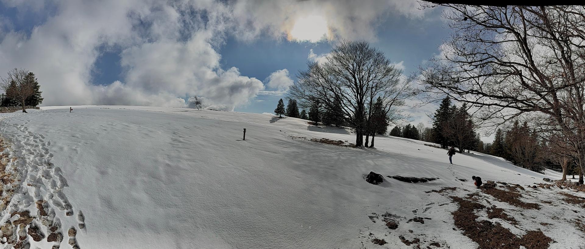 creux du van panoramique printemps arbres neige 