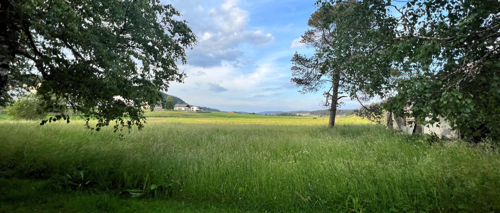 Paysage de la Brévine proche des Cernets