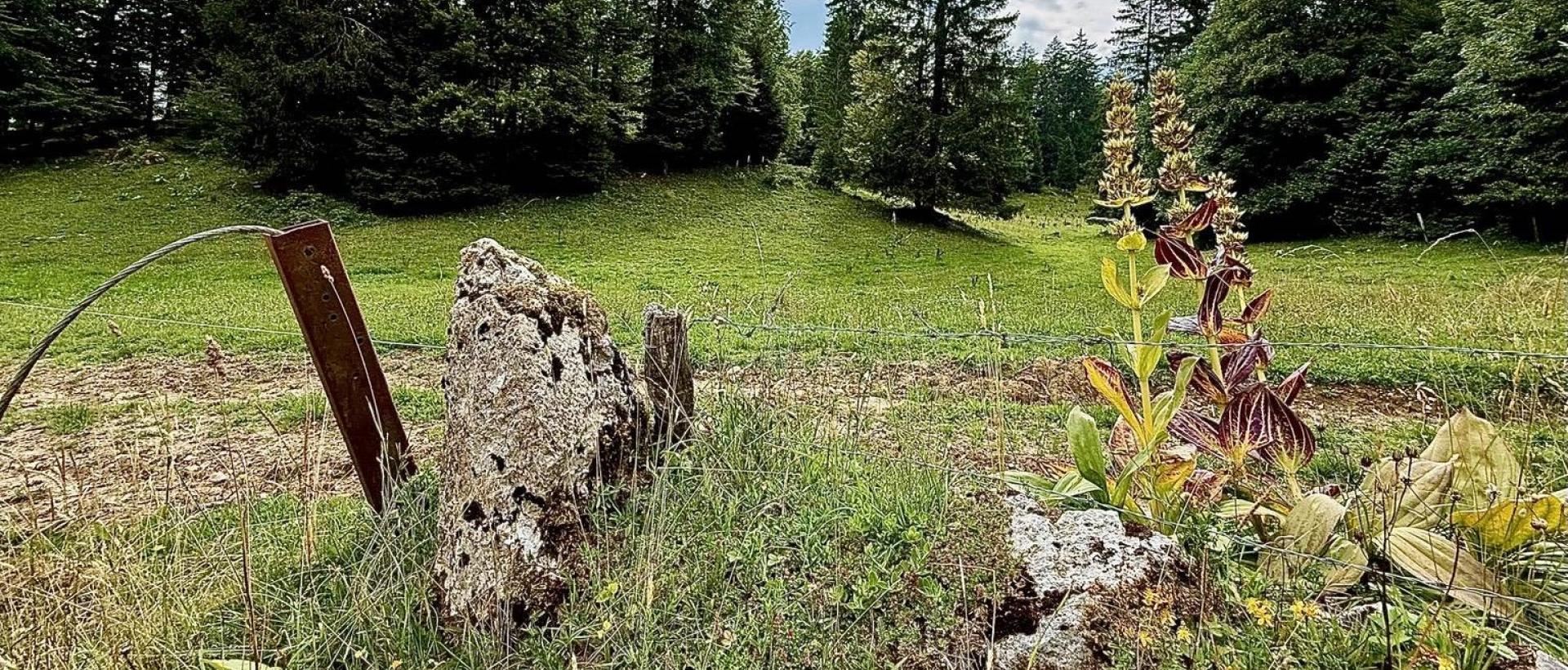 Paysage naturel du Jura neuchâtelois avec forêt et prairie au Val de Travers près des Cernets