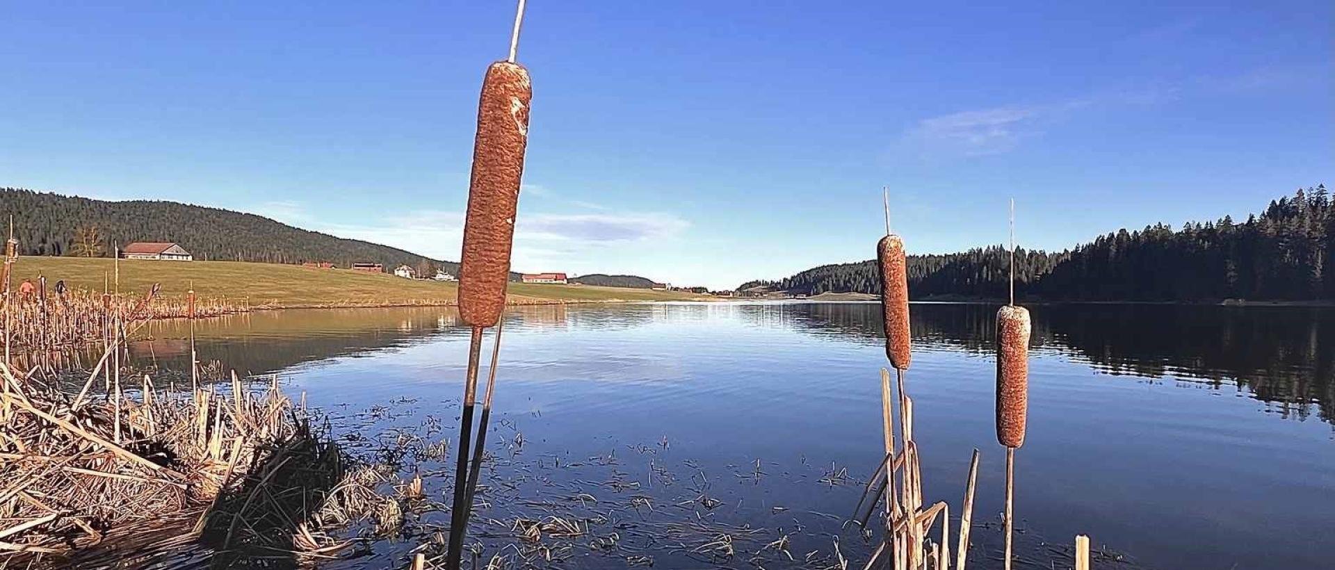 Lac des Taillères en famille près Hôtel Les Cernets val de travers