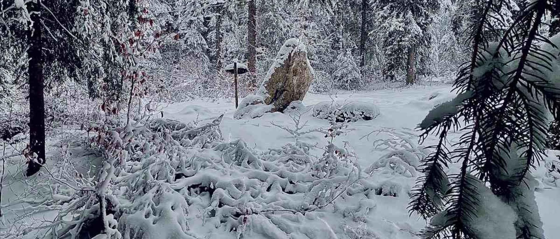 Menhir du Combasson proche de l'Hôtel Les Cernets Val de Travers