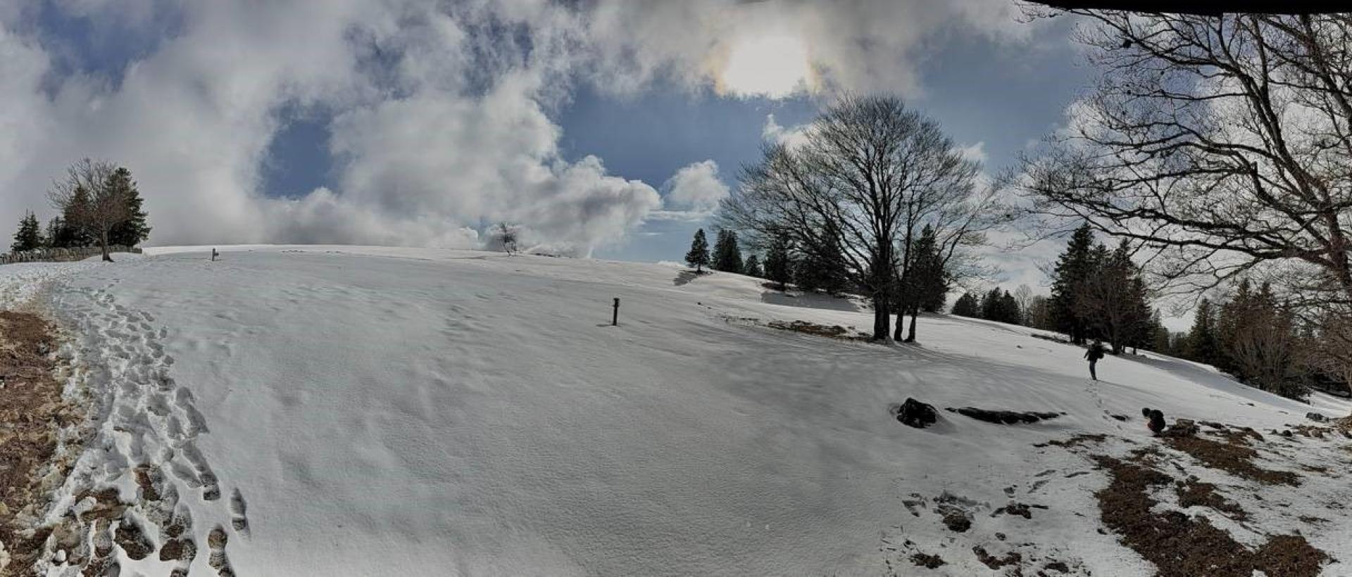 Paysage hivernal du Creux du Van, neige, arbre et soleil Val-de-Travers Jura suisse