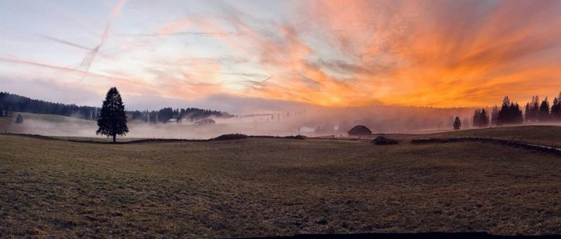 Paysage naturel du Jura neuchâtelois avec forêt et prairie au Val de Travers près des Cernets