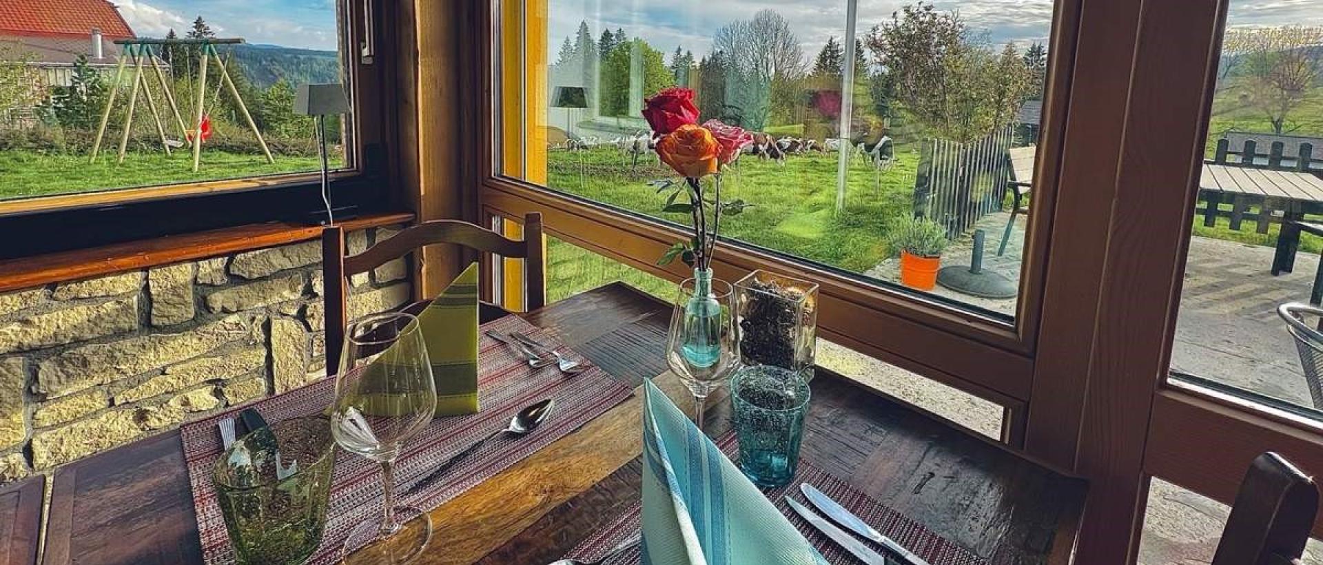 Véranda lumineuse au vue panoramique sur la nature au Val-de-Travers aux Cernets