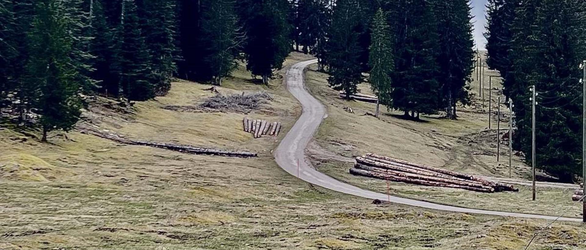 Chemin forestier dans le Jura suisse aux Cernets au Val-de-Travers