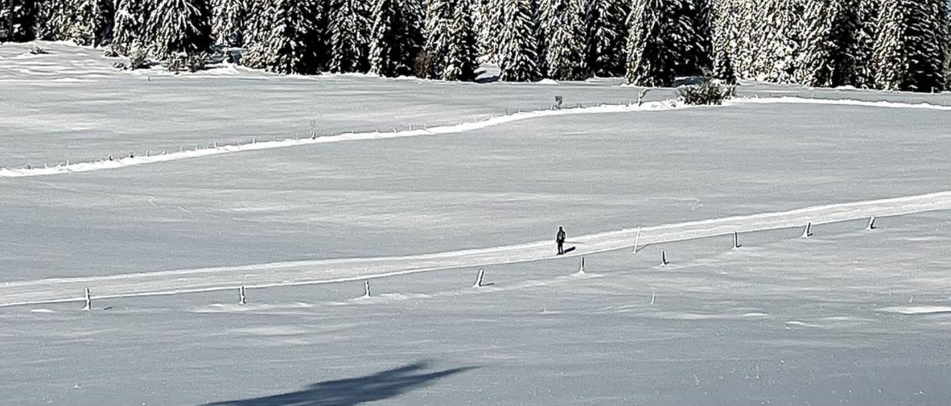 Ski nordique dans le Jura suisse en hiver près de l'Hôtel Les Cernets au Val-de-Travers