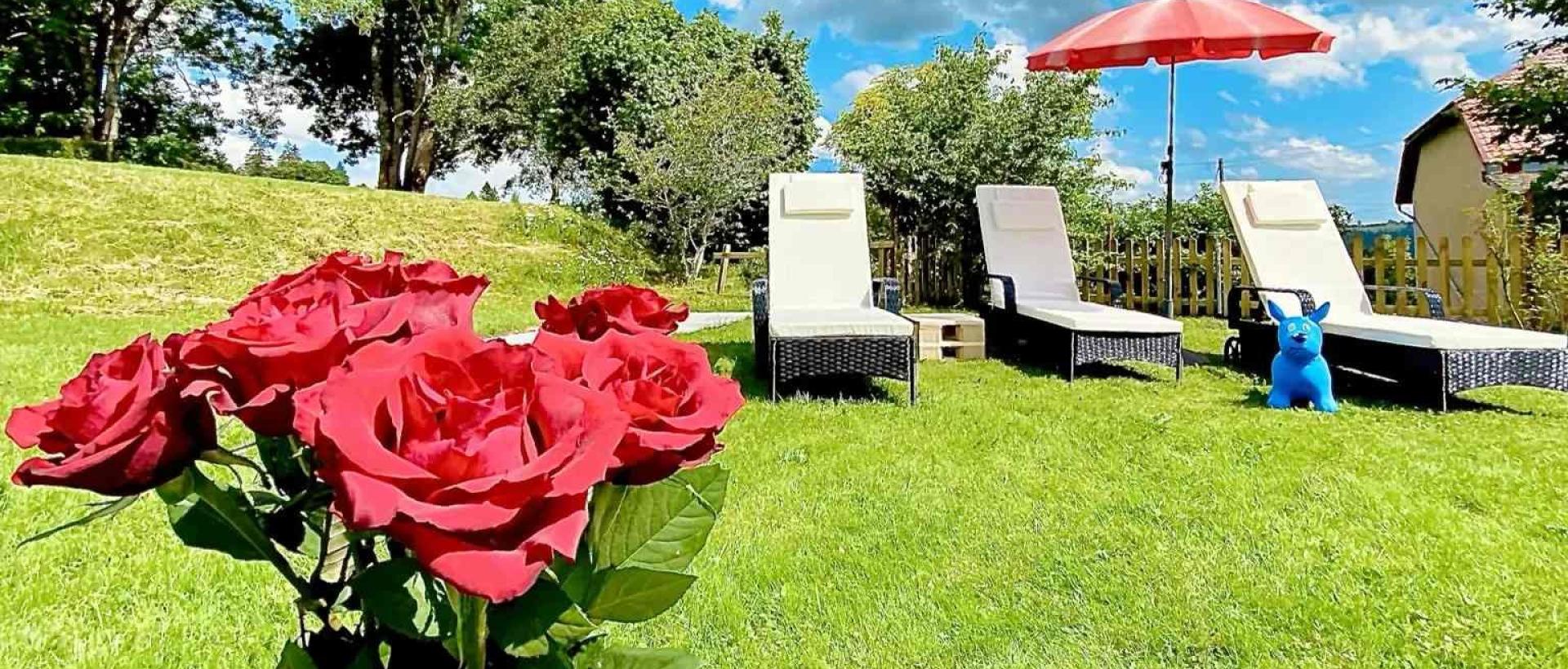 Jardin détente avec transats et roses rouges dans le Jura neuchâtelois