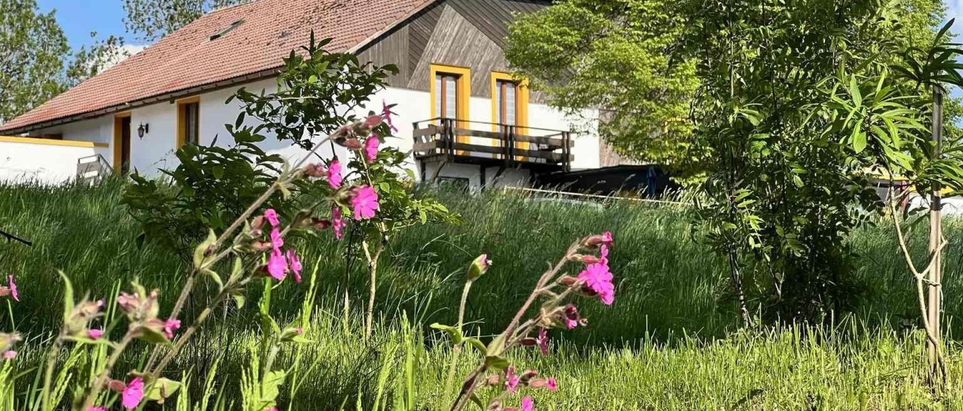 Hôtel dans le Jura suisse au printemps avec fleurs sauvages et nature verdoyante