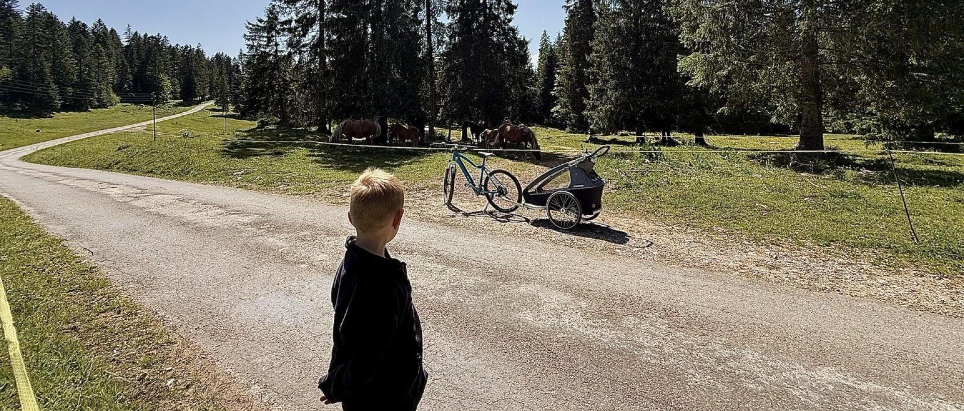 Clairière en lisière de forêt aux Cernets dans le Jura suisse avec enfant découvrant les paysages naturels du Val de Travers