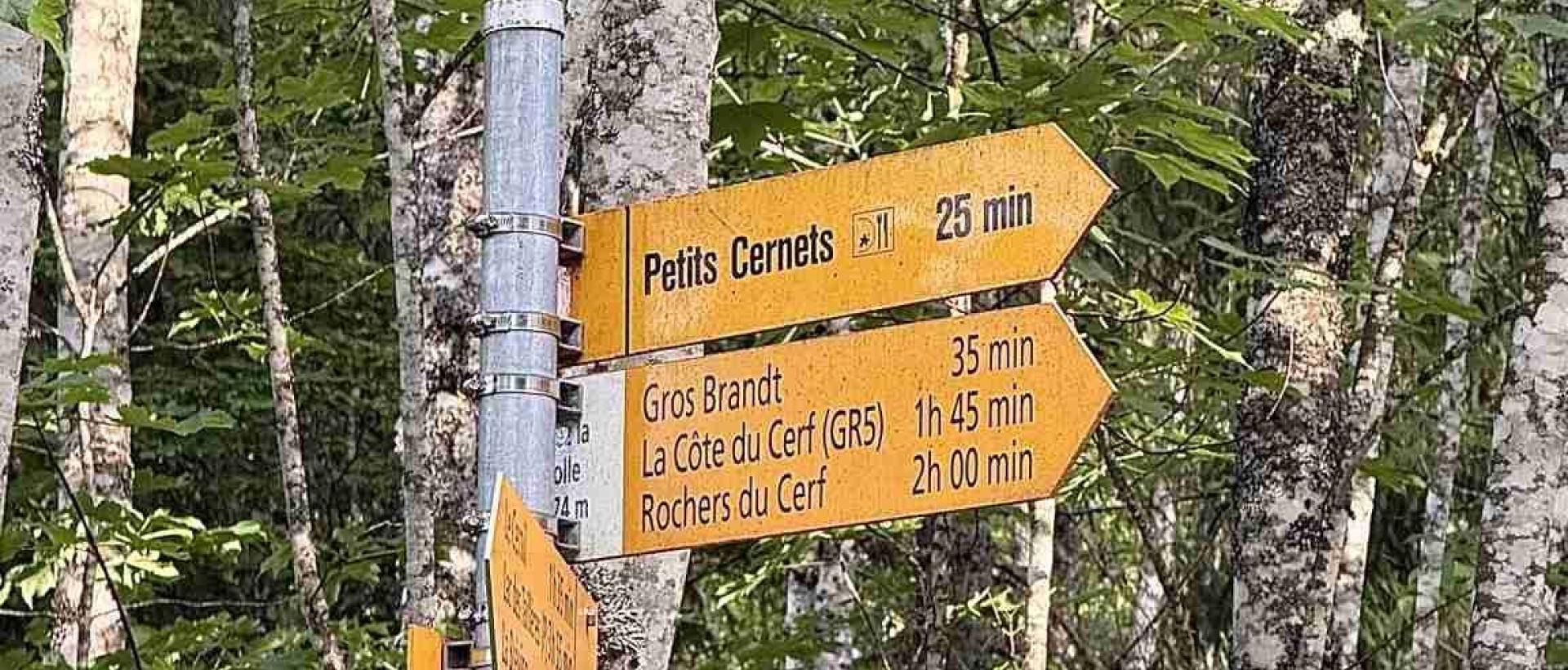 Panneau de randonnée aux Cernets GR5, Grotte de Chez le Brandt
