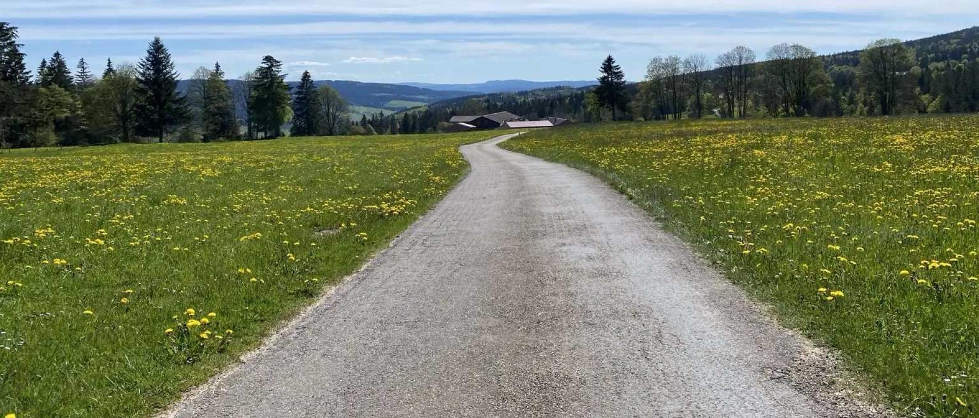 route de campagne aux Cernets direction la Brévine dans le Val de Travers