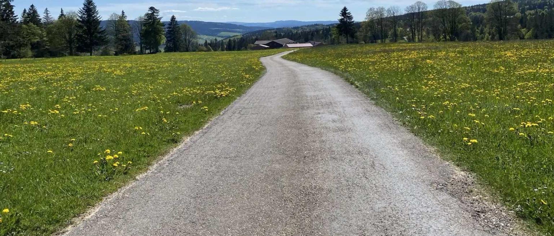 Route de campagne reliant les Cernets à la vallée de la Brévine dans le Val de Travers
