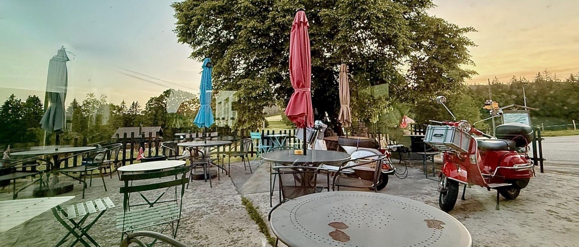 Terrasse, scooters et grand tilleul au coucher de soleil