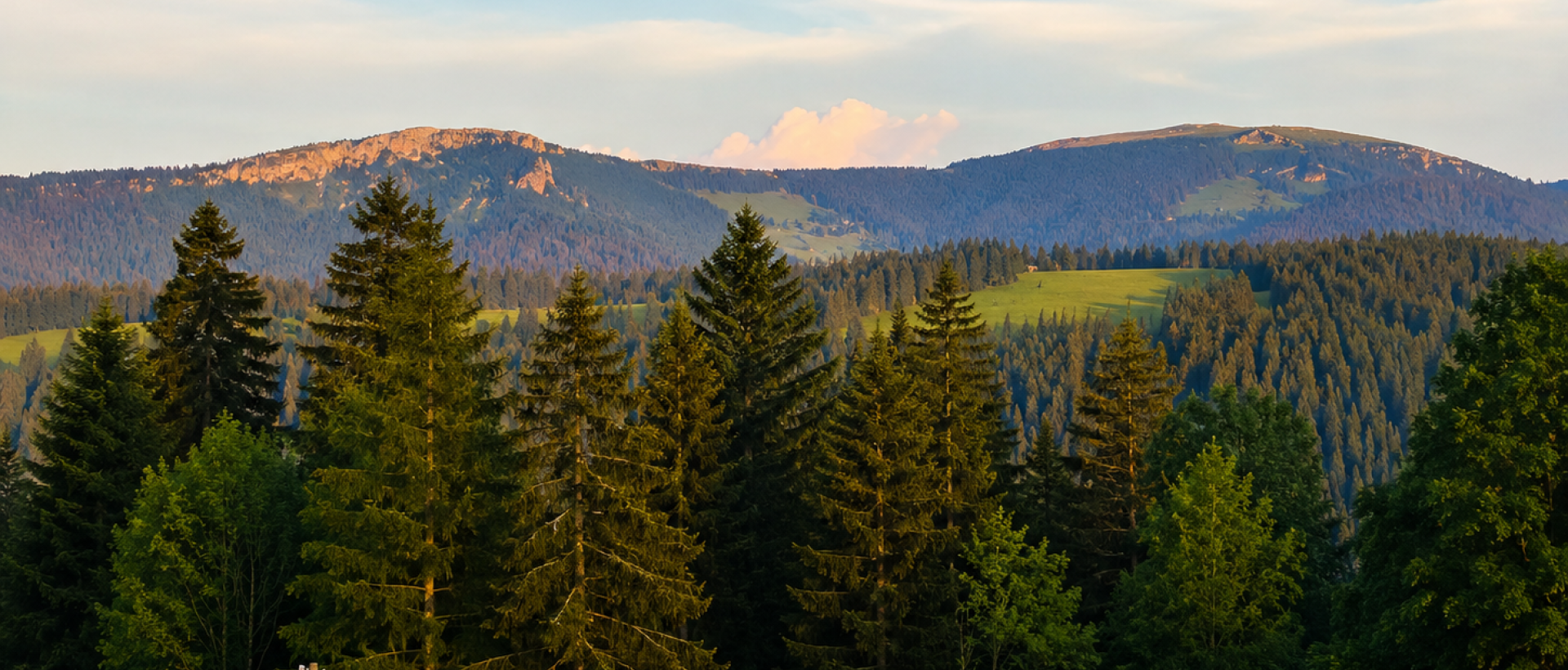 Vue du Chasseron depuis les Cernets dans le Jura suisse