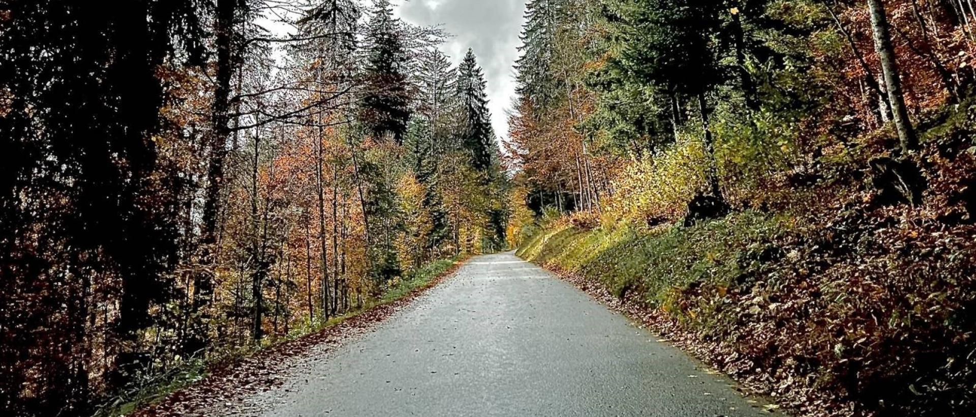 Route panoramique bordée de sapins en automne menant vers l'Hôtel Restaurant Les Cernets dans le Val de Travers, au coeur du Jura neuchâtelois