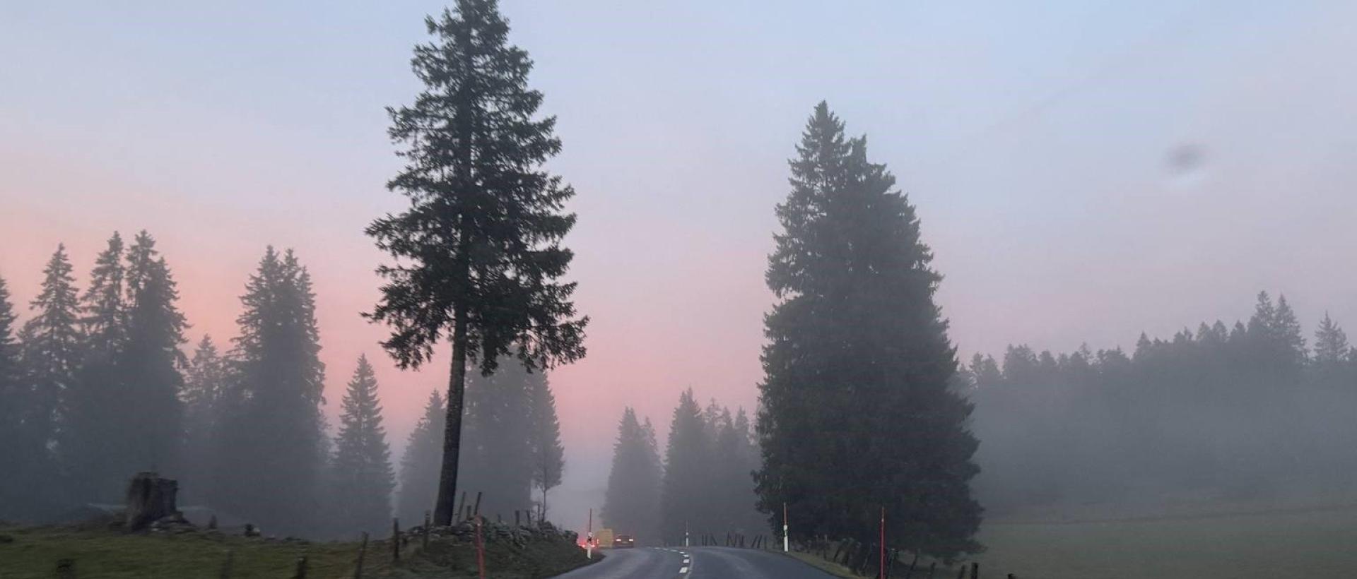 Route traversant les sapins dans la brume d'automne au coeur de la vallée de la Brévine