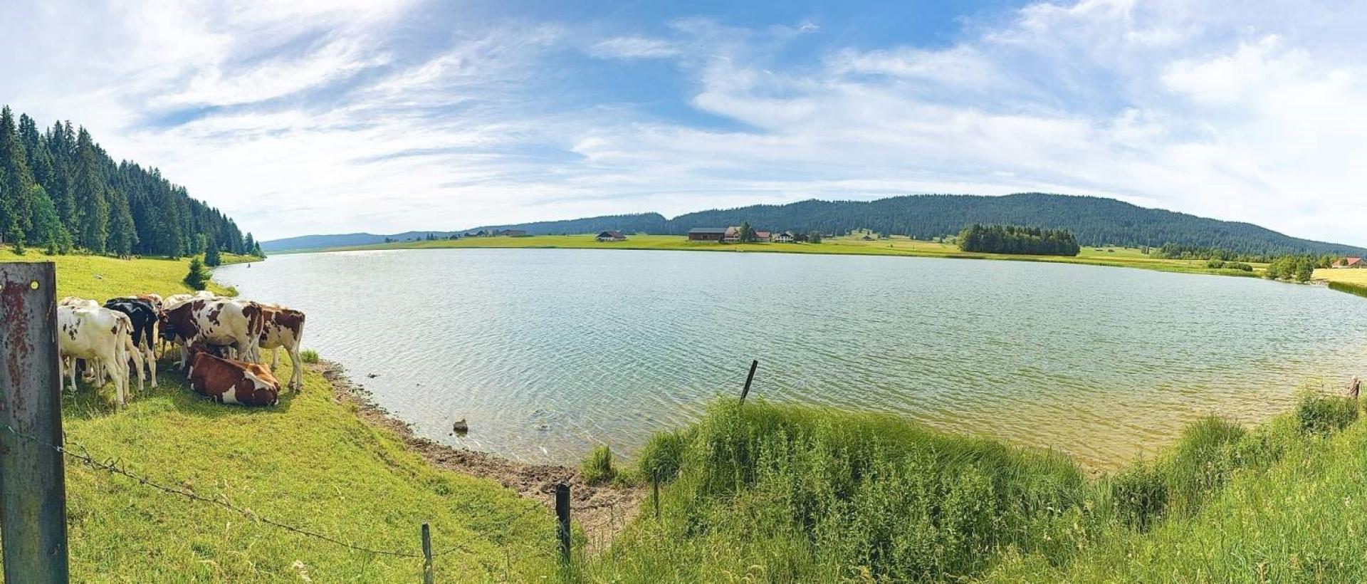 Chemin de promenade au bord du lac des Taillères dans la vallée de la Brévine