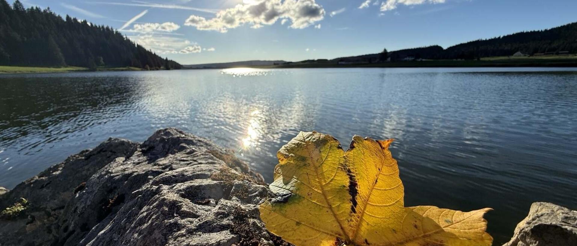 Feuille jaune d'automne sur un rocher face au lac des Taillères, dans la vallée de la Brévine, au coeur du Jura neuchâtelois