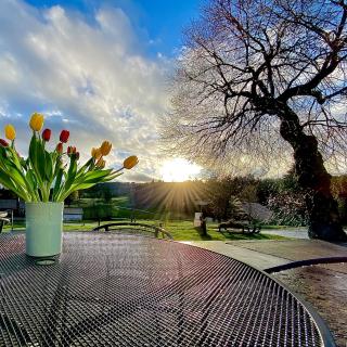 Terrasse avec vue