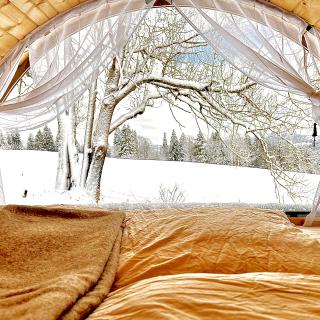 Vue Panoramique sur la nature Tiny House 