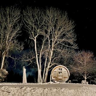 Tiny House hivers neige, étoiles