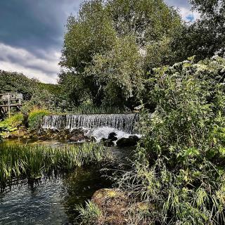 areuse cascade nature roseaux